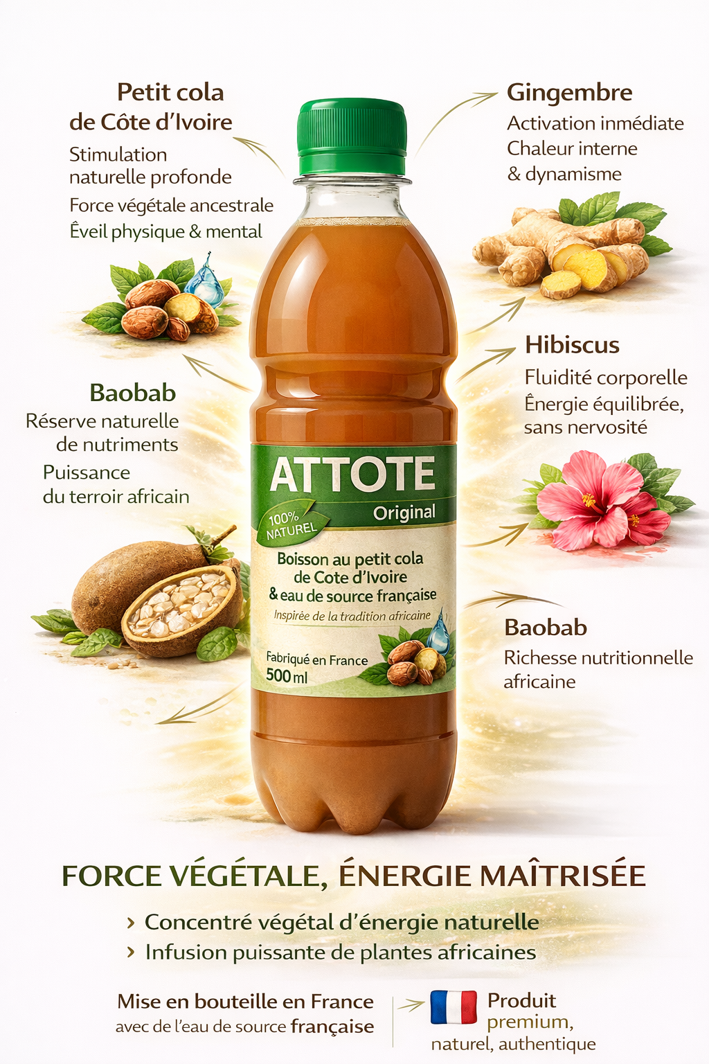 ATTOTE Original – Boisson Énergisante Naturelle Africaine – Petit Cola, Cola, Gingembre, Hibiscus & Baobab – Lot de 6 × 500 ml – Recette Traditionnelle Ivoirienne