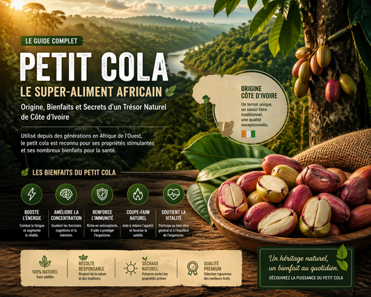 Petit Cola : Bienfaits, Origine en Côte d’Ivoire et Guide Complet du Super-Aliment Africain (2026)