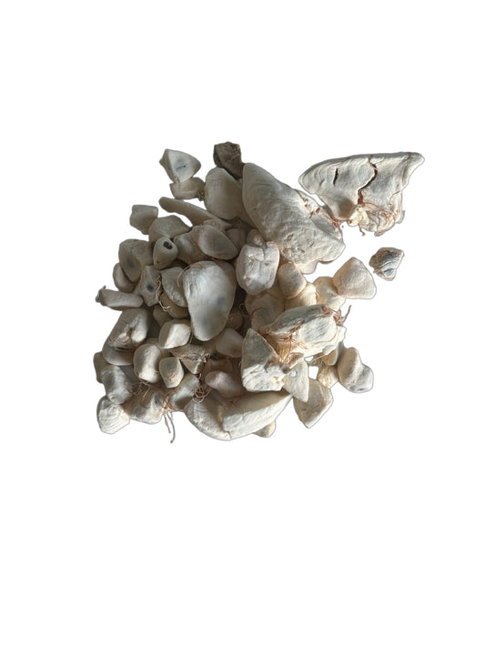 Grain de Baobab Pur – Source Naturelle Exceptionnelle de Vitamine C et d’Énergie Vivante