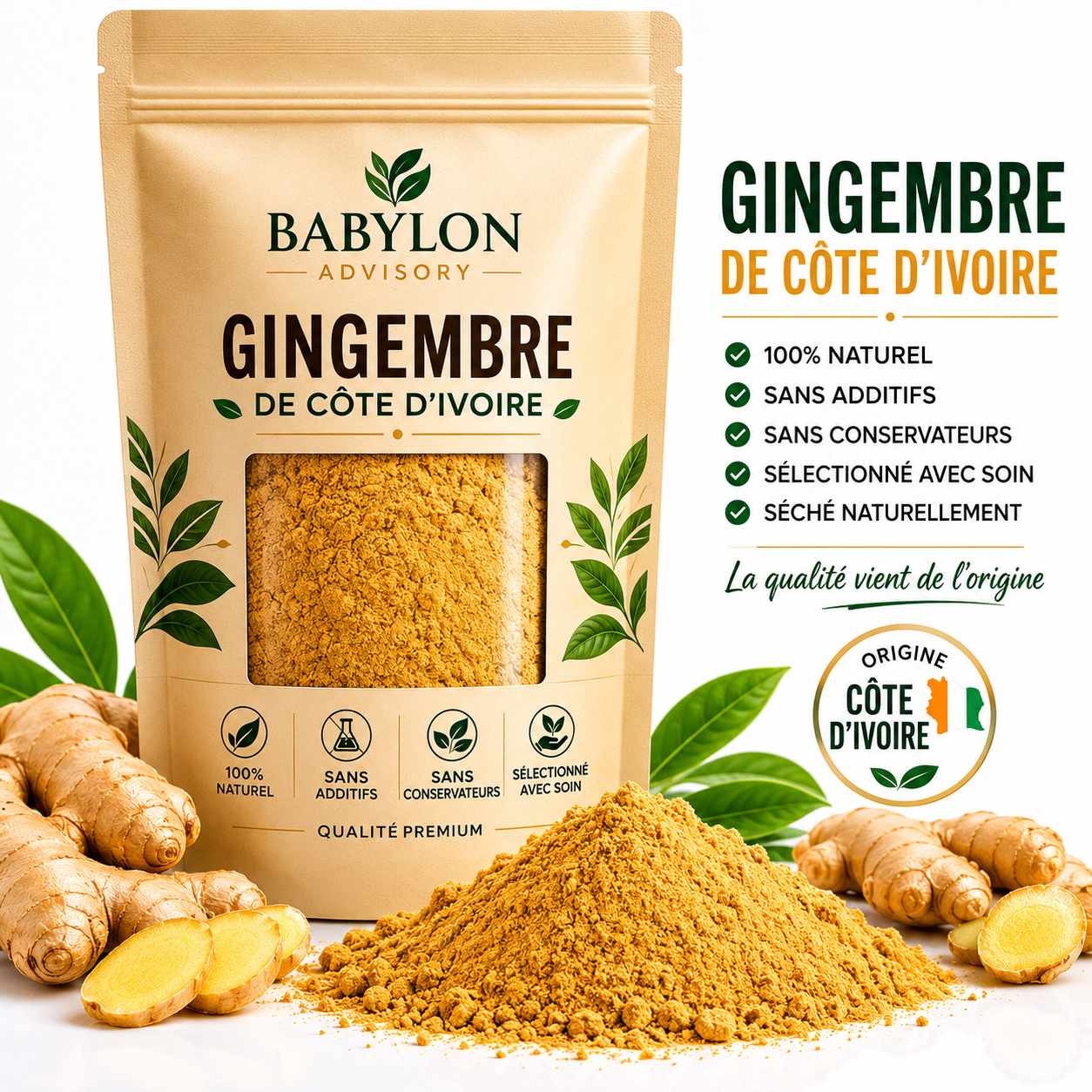 Poudre de Gingembre Premium de Côte d'Ivoire – Vrac Professionnel
