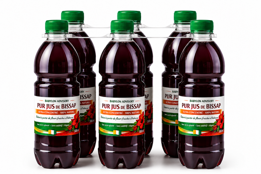 Jus de Bissap Lot 6 x 500ml – Hibiscus Naturel Bio Famille et Pro Sans Sucre